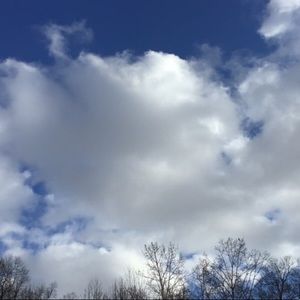 Meet your Posher, Maggie